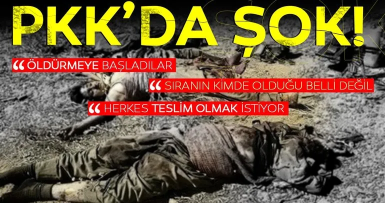 Teslim olan PKK’lıdan flaş itiraf: Herkes teslim olmak istiyor! Daha gelenler olacak