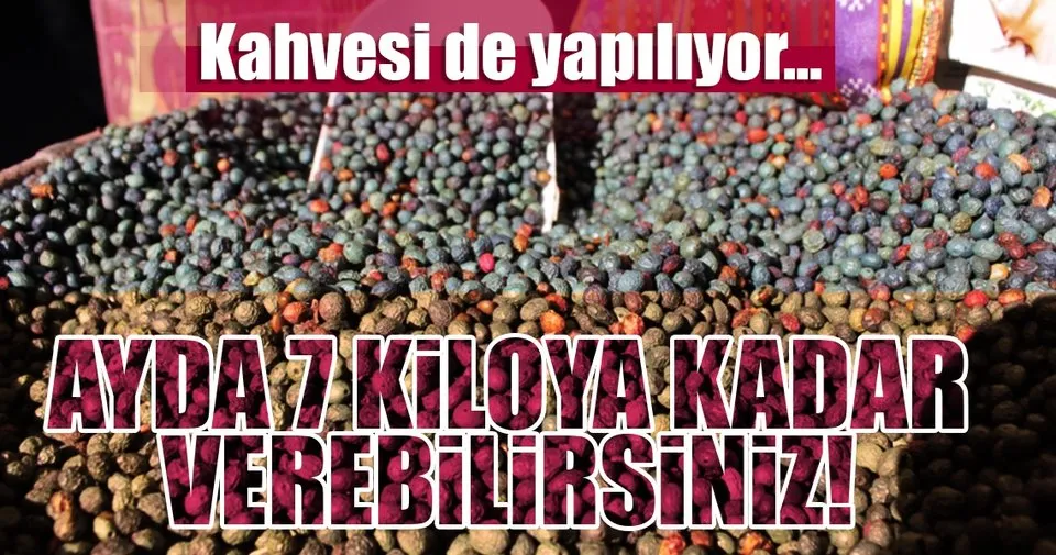 bu kahve ayda 7 kilo verdiriyor
