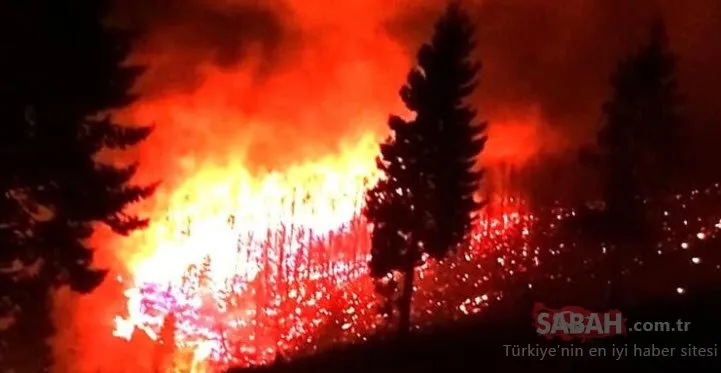 Karadeniz’de 26 noktada orman yangını: 5 ev kül oldu, tarım arazileri zarar gördü