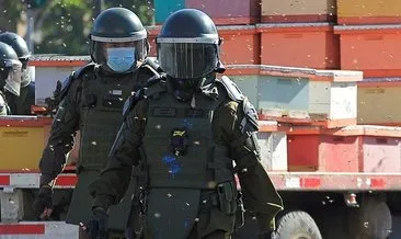 Şili’de arıcıların protestosuna müdahale eden polisleri arı soktu