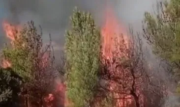 Kahramanmaraş’ta ormanlık alanda ikinci yangın çıktı