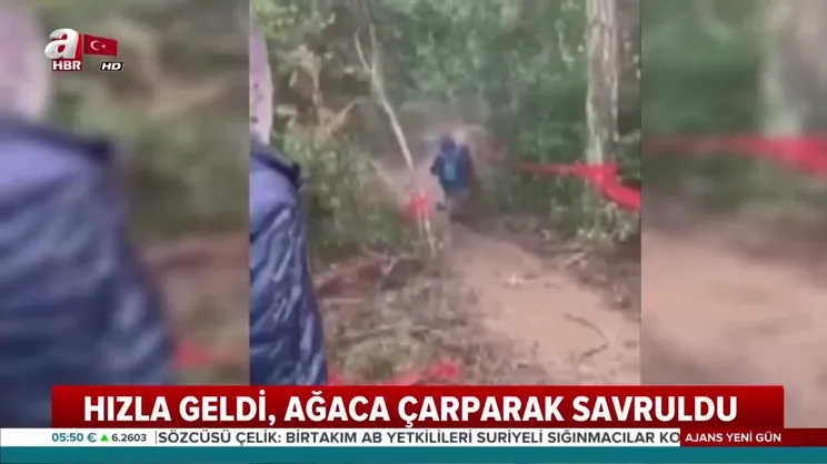 Dağ bisikleti yarışında korkutan kaza videosunu izle | Son Dakika Haberleri