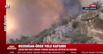 Bodrum’da yeni yangın! Bozdoğan-Ören yolu kapandı | Video