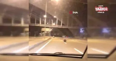 İstanbul - Çanakkale karayolunda yol ortasına akılalmaz olay! Ölüme davetiye çıkardı | Video