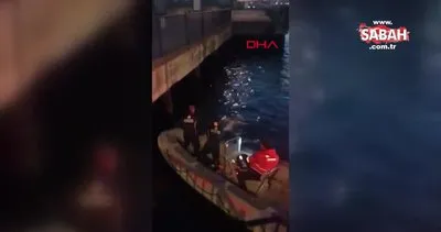 İstanbul Kadıköy’de balıkçı oltasına takılan iki martıyı itfaiye ekipleri kurtardı | Video
