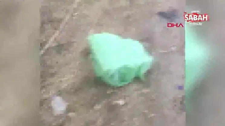 Yavru köpekleri çuvala koyup ölüme terk ettiler | Video