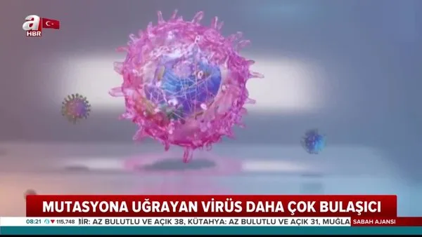 Corona virüs mutasyona uğradı! Artık daha çok bulaşıcı! | Video