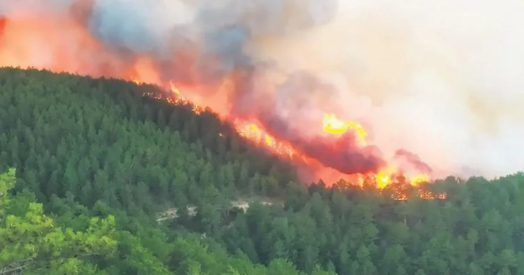 Orman yangını şiddetli rüzgârın etkisiyle büyüdü