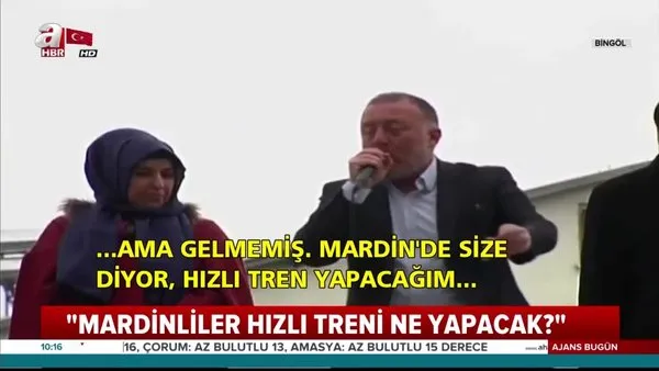 HDP'li Sezai Temelli'den skandal açıklama: Mardinli hızlı treni ne yapacak?