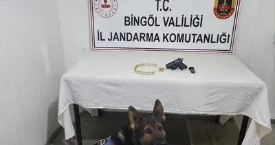 Bingöl'de tabanca, şarjör ve fişek ele geçirildi #bingol