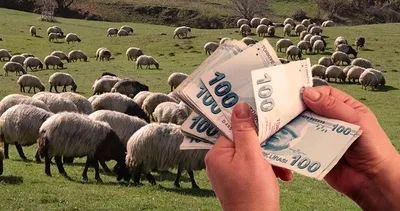 Çiftçiler dikkat! Hayvancılık için yarın belli oluyor