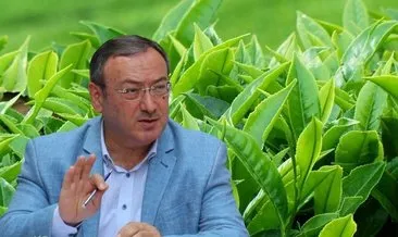 Çaykur rekolteye ulaşıyor