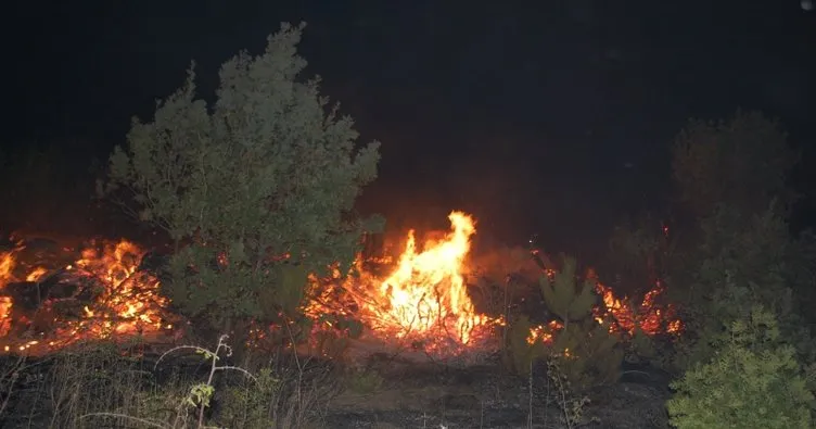 Tekirdağ’da korkutan yangın: Yüzlerce çam alev alev yandı