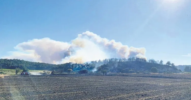 Çanakkale’de 680 hektar alan kül oldu