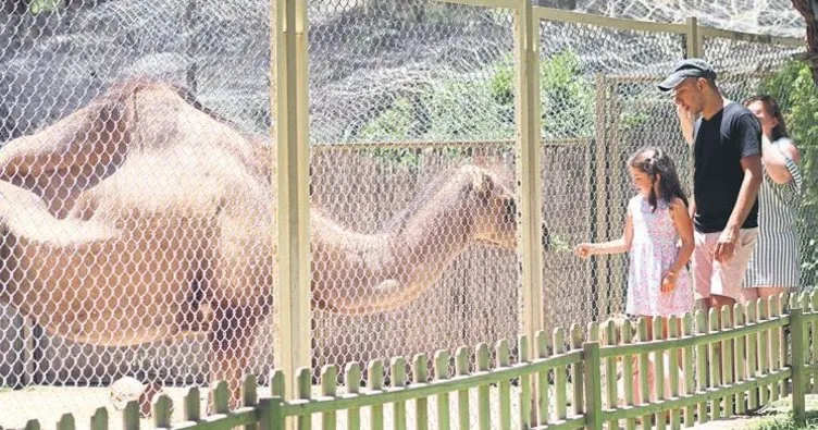 Hayvanat Bahçesi sevgi rekoru kırdı