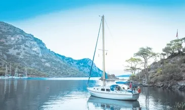 Sarı yaz için Yelkenler fora