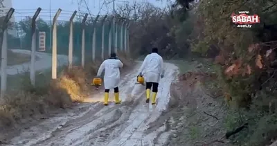 Son dakika: Bursa’da tek motorlu uçak düştü: 2 kişi hayatını kaybetti | Video