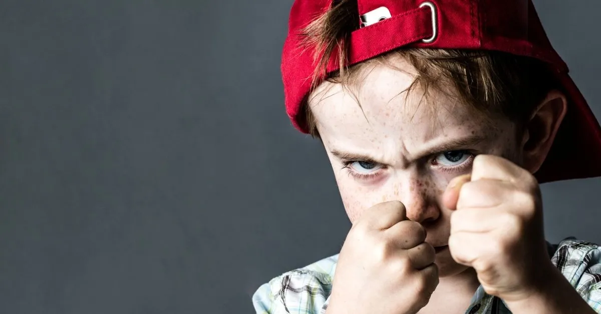 Hircin Cocuklarin Problemi Demir Eksikligi Mi Cocuk Haberleri