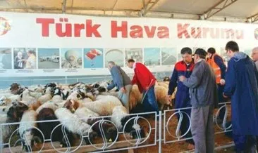 THK kurban derisi için ücretsiz tuz dağıtacak