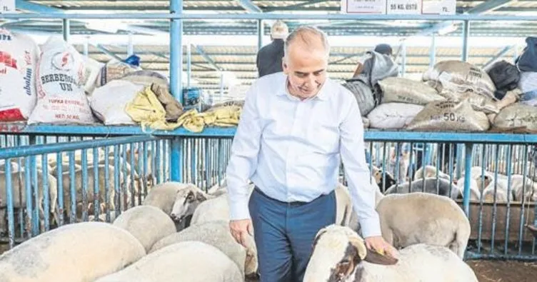 Başkan Zolan hayvan pazarını ziyaret etti