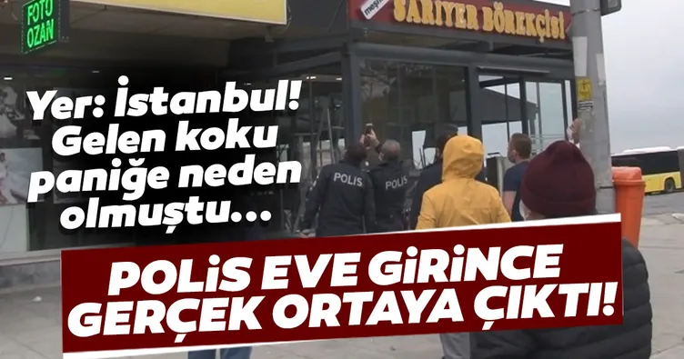Paniğe neden olan kokunun sırrı çözüldü!