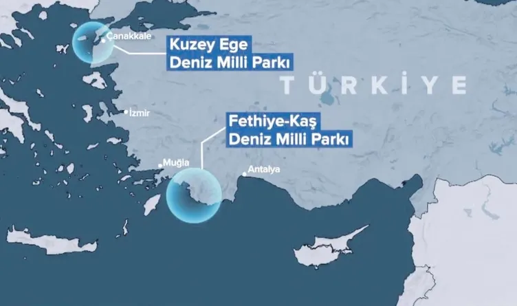 SON DAKİKA | Atina’nın uykusunu kaçıracak tarihi hamle! İşte deniz parklarına ilişkin merak edilenler