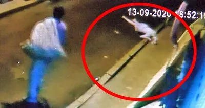 Son dakika haberi: İstanbul’da dehşet! Ukraynalı kadının 8’inci kattan düşerek feci ölüm anı kamerada | Video