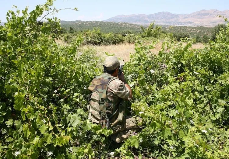 PKK’nın zehir tarlalarına operasyon