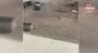 Medine'de polise silahlı saldırı: 2 yaralı | Video
