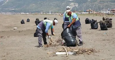 Deniz kablumbağaları koruma altına alındı #hatay