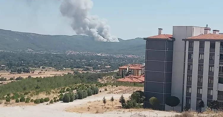 Muğla’da iki orman yangını çıktı!