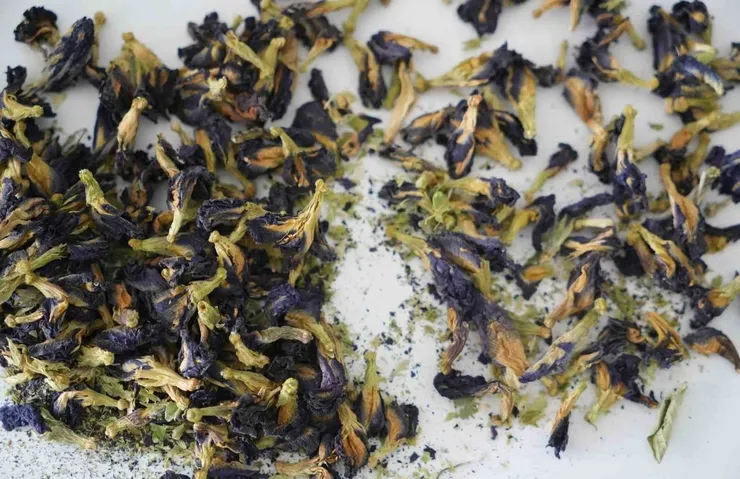 DOĞAL RENK KAYNAĞI BULUNDU!