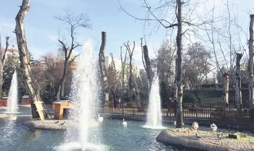 Gezi’de mimar Kuğulu’da memur