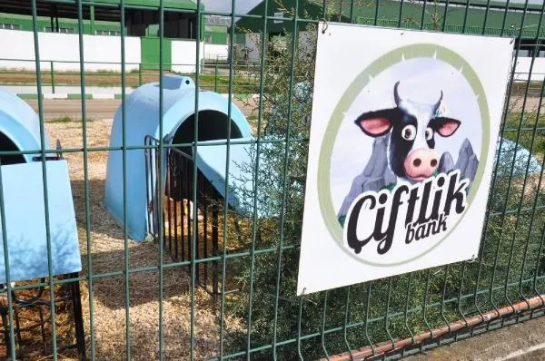 Çiftlik Bank'ta yeni detaylar! Paralar böyle iade edilecek