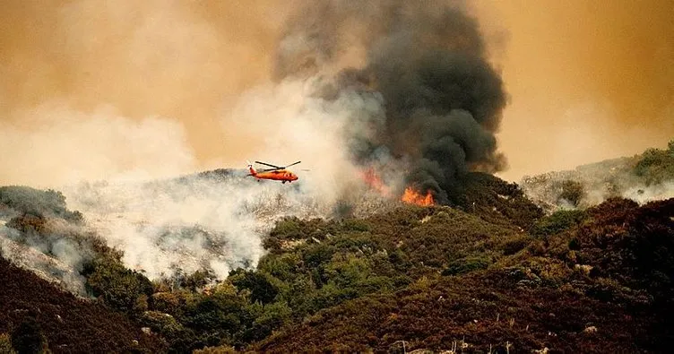 Dünyanın en büyük ağaçları yangın tehdidi altında