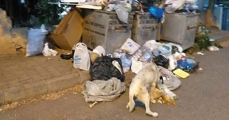 Adalar çöplerle doldu, belediye vatandaşı suçladı