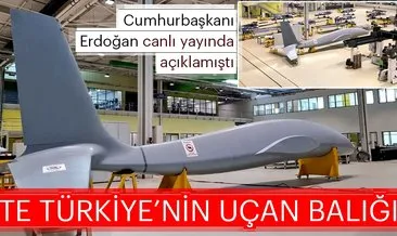 Uçan Balığın fotoğrafları ilk kez ortaya çıktı!