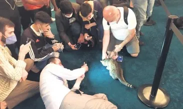 Gli’ye ulu mabette kalma izni