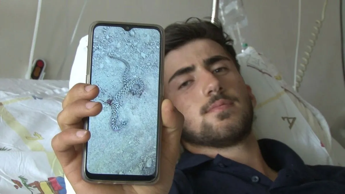 bingol de zehirli yilanin isirdigi genc