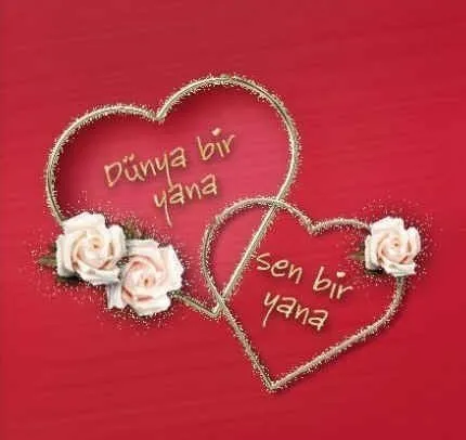 Romantik Sevgililer Günü mesajları ve sözleri burada! 14 Şubat Sevgililer Günü romantik sözler ve mesajlar için tıklayınız...
