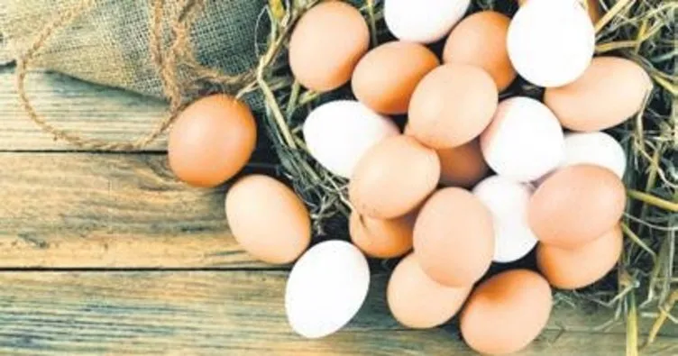 Yumurta üreticilerine Rekabet soruşturması