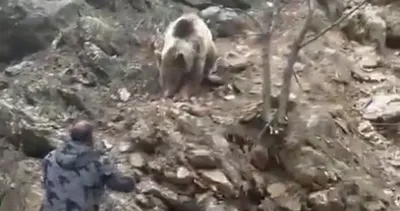 Tunceli’de bir kişi yol kenarında gördüğü ayıyı kurabiyeyle besledi #tunceli