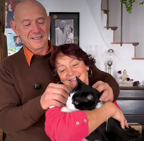 Sınırları aşan sadakat! İspanya’da kaybolan kedi Fransa’da ortaya çıktı: 250 kilometre uzaktan evine döndü