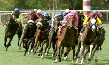 At yarışında ‘Doping’ kavramı yasaklandı