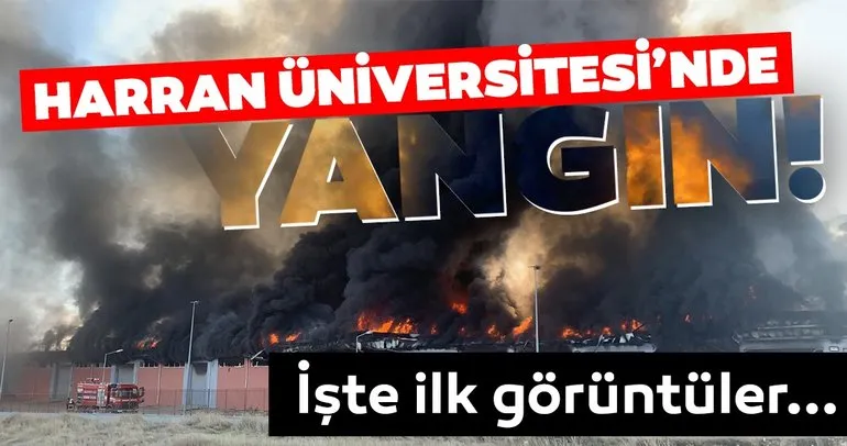 Son dakika haberi: Harran Üniversitesi Osmanbey Kampüsünde yangın! İşte ilk görüntüler...