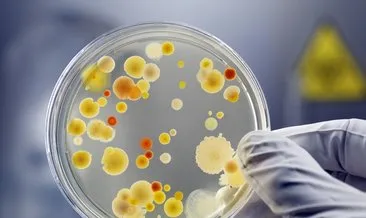 Tüm cilt sorunlarına tek çözüm! Pürüzsüz bir cildin sırrını veren “bakteri”