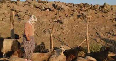 Muş’un hayvancılıkla geçimlerini sağlayan Berivanlar teknolojiye ayak uydurarak günlük işlerini daha kolay hale getirdi #mus