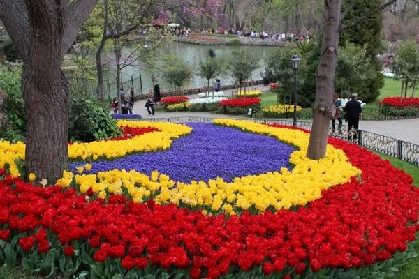 İstanbul'da lale devri!