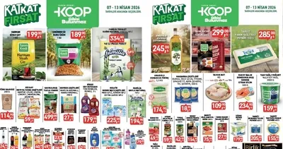 İNDİRİM ZAMANI! Tarım Kredi market kataloğu 7-13 Nisan 2026: Çay, zeytinyağı, sucuk...