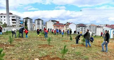 Trabzon’da 40 bin fidan toprakla buluştu